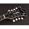 Mandolína F-styl Richwood All Solid Master RMF-220-WN - 3