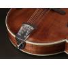 Mandolína F-styl Richwood All Solid Master RMF-220-WN - 4