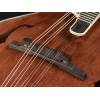Mandolína F-styl Richwood All Solid Master RMF-220-WN - 7