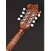 Mandolína F-styl Richwood All Solid Master RMF-220-WN - 8