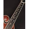 Mandolína F-styl Richwood All Solid Master RMF-220-WN - 9