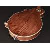 Mandolína F-styl Richwood All Solid Master RMF-220-WN - 10