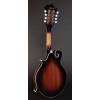 Mandolína F-styl Richwood Master RMF-60-VS - 2