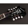 Mandolína F-styl Richwood Master RMF-60-VS - 3