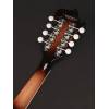 Mandolína F-styl Richwood Master RMF-60-VS - 6