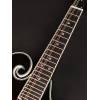 Mandolína F-styl Richwood Master RMF-60-VS - 7